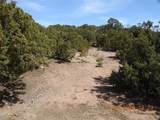 10 Pacheco Meadow Lane - Photo 8