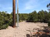 10 Pacheco Meadow Lane - Photo 9