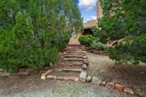 61 Paseo Del Antilope - Photo 41