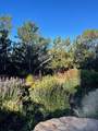 712 Juniper Drive - Photo 14