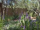 712 Juniper Drive - Photo 16