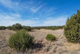 37 Picacho Peak Drive - Photo 10