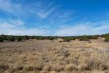 37 Picacho Peak Drive - Photo 7