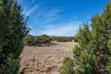 37 Picacho Peak Drive - Photo 9