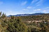1057 Camino Manana - Photo 31
