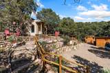 7641 Old Santa Fe Trail - Photo 42