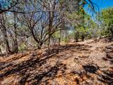 30 Sendero Del Oso - Photo 19