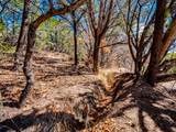 30 Sendero Del Oso - Photo 20