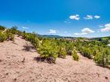 30 Sendero Del Oso - Photo 24