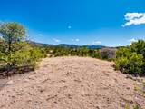 30 Sendero Del Oso - Photo 25