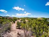 30 Sendero Del Oso - Photo 26
