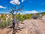 30 Sendero Del Oso - Photo 28