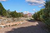 39 Lluvia De Oro - Photo 44