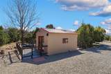 39 Lluvia De Oro - Photo 51