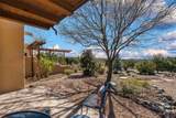 39 Lluvia De Oro - Photo 56