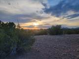218 Horny Toad Road - Photo 1