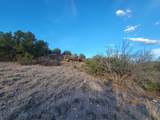 218 Horny Toad Road - Photo 10