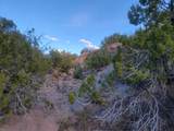218 Horny Toad Road - Photo 12