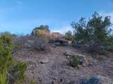 218 Horny Toad Road - Photo 13