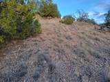 218 Horny Toad Road - Photo 14