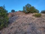 218 Horny Toad Road - Photo 15