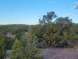 218 Horny Toad Road - Photo 16
