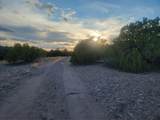 218 Horny Toad Road - Photo 4