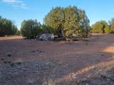 218 Horny Toad Road - Photo 6