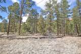Lot 49A Cool Pines - Photo 1