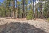 Lot 49A Cool Pines - Photo 14