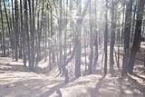 Lot 49A Cool Pines - Photo 17