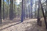 Lot 49A Cool Pines - Photo 2