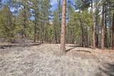 Lot 49A Cool Pines - Photo 4