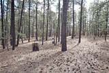 Lot 49A Cool Pines - Photo 6