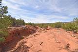 Lot 16 Unit 2 Jemez Canyon Estates - Photo 11