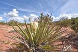 Lot 16 Unit 2 Jemez Canyon Estates - Photo 9