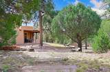23 La Cueva Creek Road - Photo 28