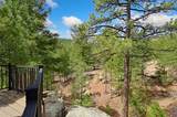 23 La Cueva Creek Road - Photo 65