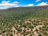 23 La Cueva Creek Road - Photo 70