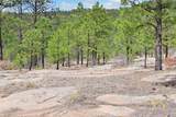 23 La Cueva Creek Road - Photo 73