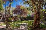 841 Don Diego - Photo 49
