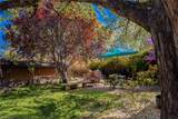 841 Don Diego - Photo 50