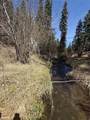 27740 Seven Springs Road - Photo 23