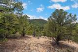2567 Atalaya Hills Trail - Photo 12