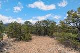2567 Atalaya Hills Trail - Photo 5