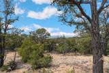 2567 Atalaya Hills Trail - Photo 6
