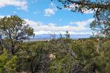 2567 Atalaya Hills Trail - Photo 7