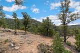 2567 Atalaya Hills Trail - Photo 8