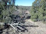 82 Choctaw Trl. - Photo 3