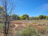97 County Road 97 - Photo 3